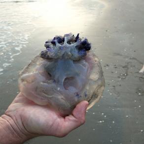 On the Beach I., from Unsettling Photographs series 