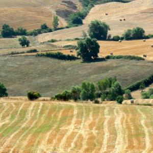 Italy. Basilicata. Potenza (2)