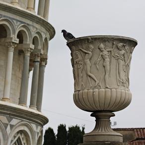 Pisa, veduta di vaso dritto