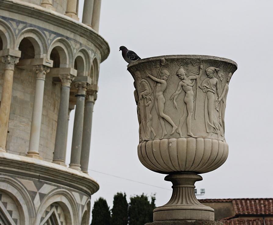 Pisa, veduta di vaso dritto