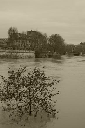 Il tevere