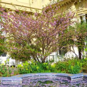 Au jardin du Petit Palais