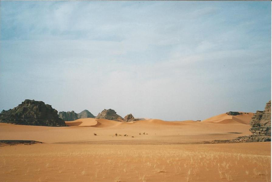 sahara