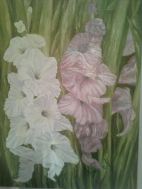 gladioli