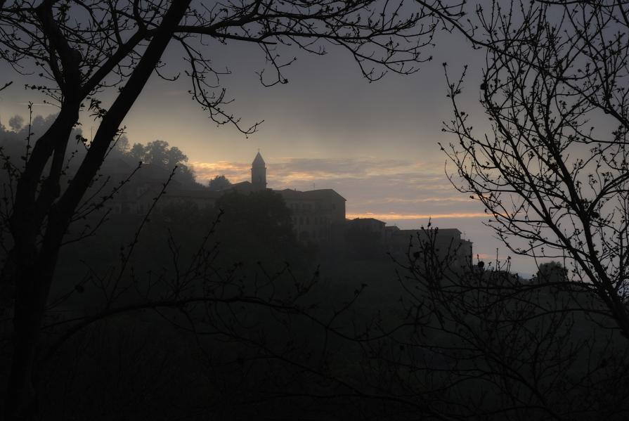 Nebbia in controluce