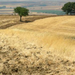 Italy. Basilicata. Potenza (2)