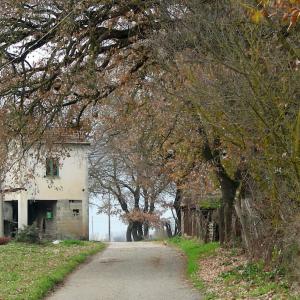 Italy. Basilicata. Potenza (1)