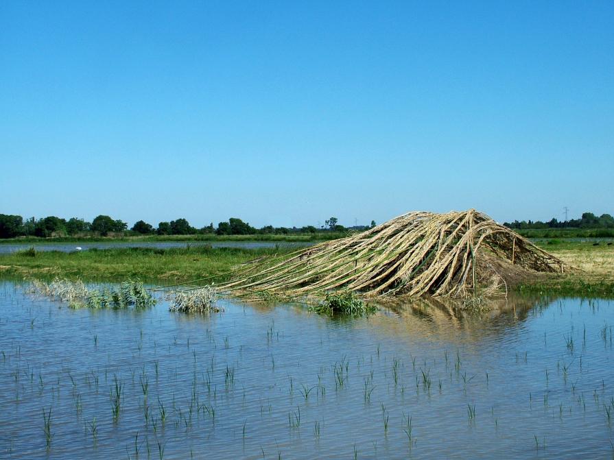 Inondation