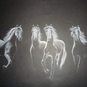 Horses in the dark