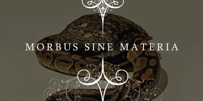 Morbus Sine Materia 