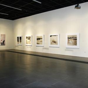 li Chevalier solo exhibition opened at the National Art Museum of China