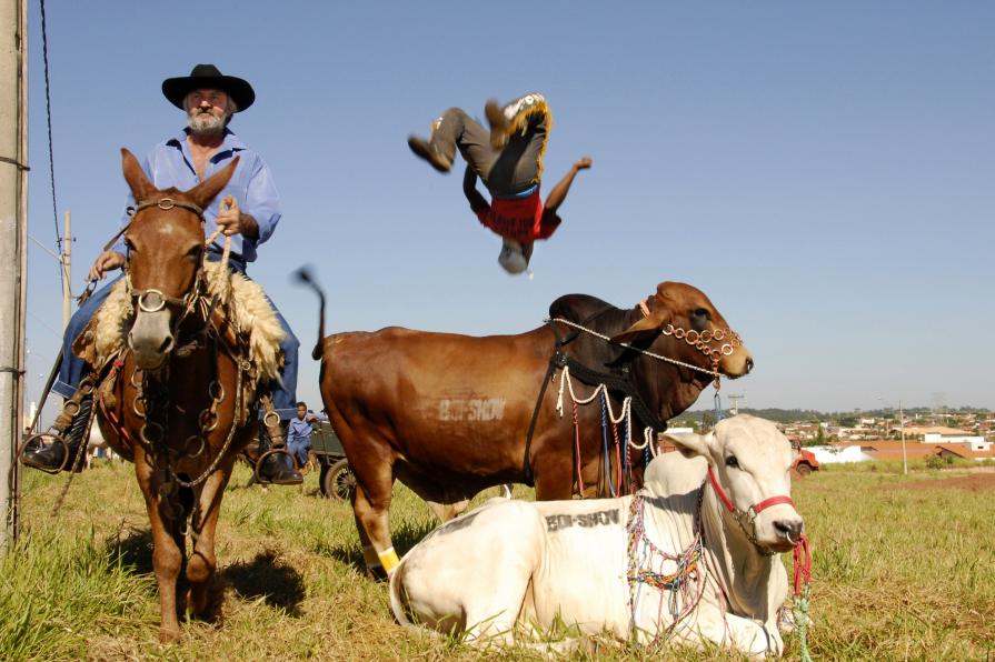 Brasil, rodeio II