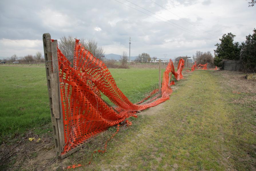 RED FENCE 2011-2012