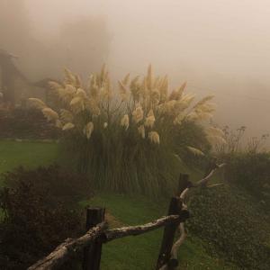 Paolo Bongianino In the fog #1, Pubblicata da PhotoVIgue