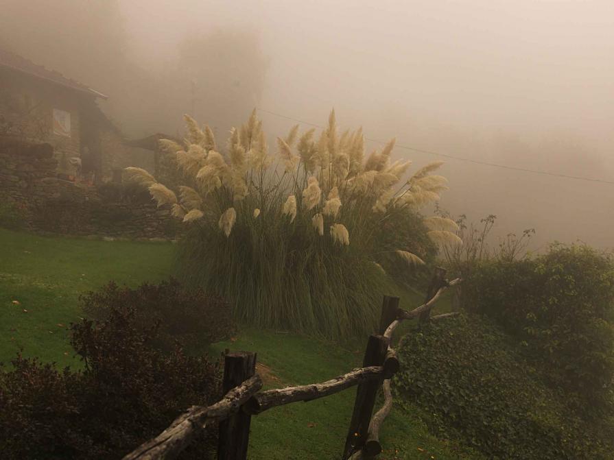 Paolo Bongianino In the fog #1, Pubblicata da PhotoVIgue