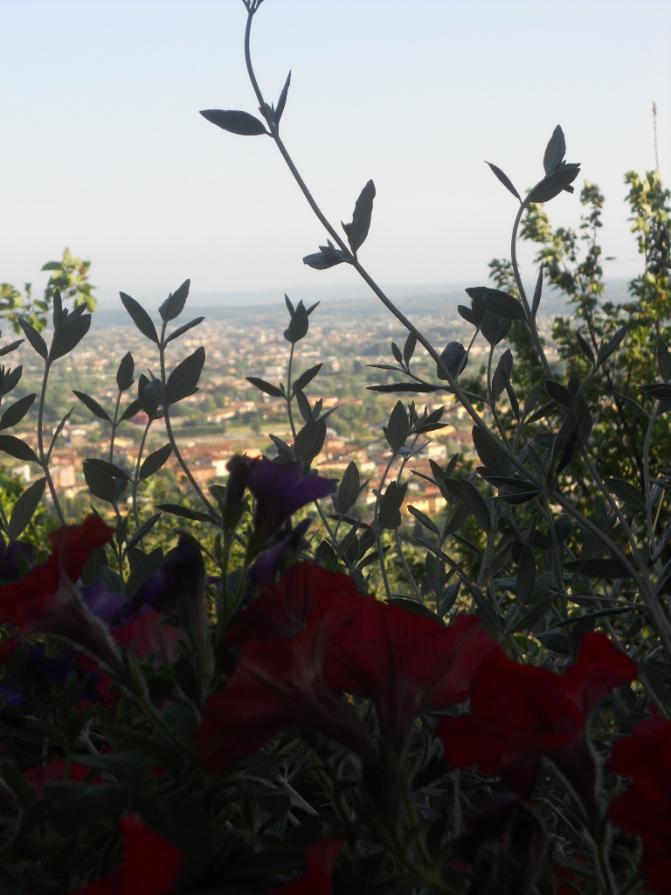 Il borgo degli agrumi