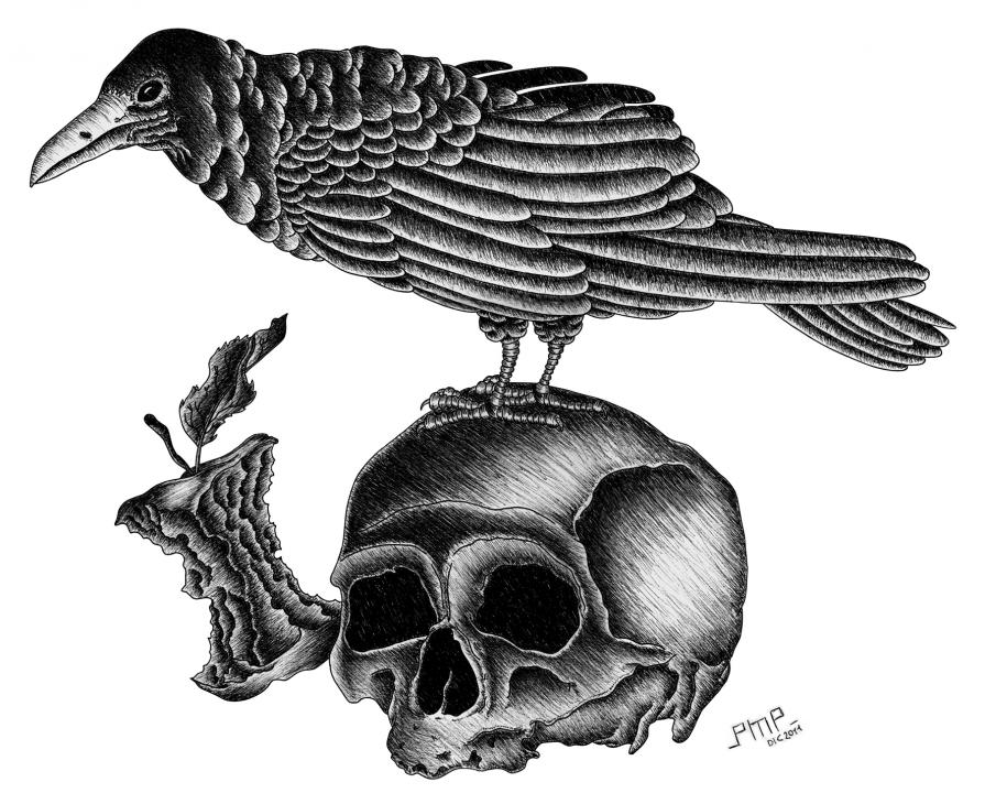 Crow and Skull