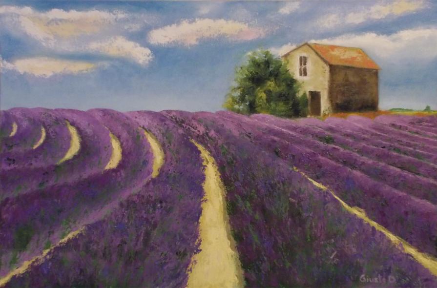 Lavanda in fioritura