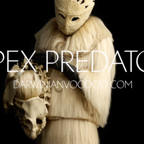 DARWINIAN VOODOO PRESENTS THE APEX PREDATOR