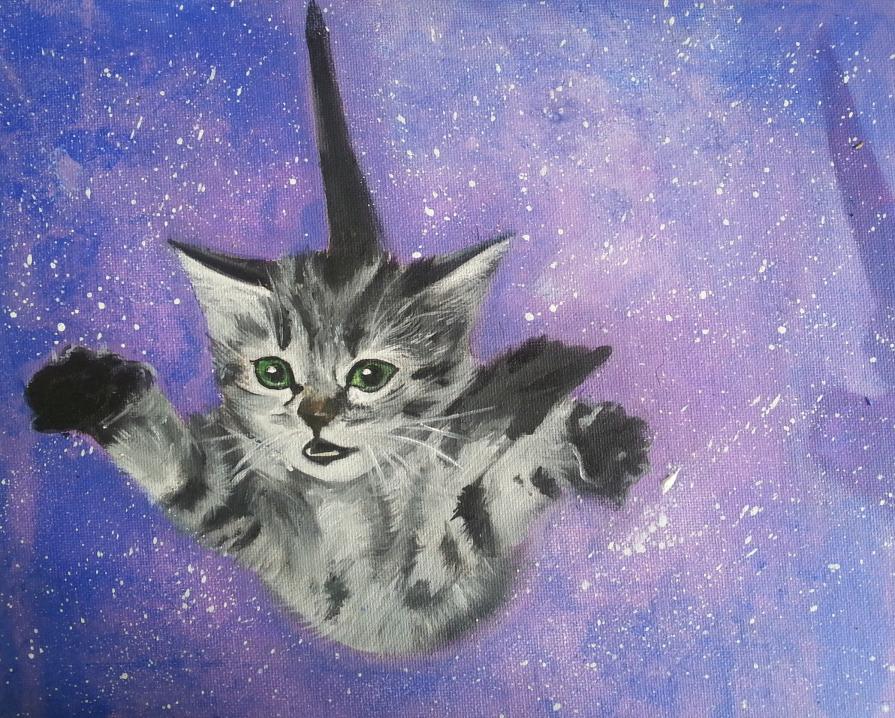 GATTO ASTRONAUTA