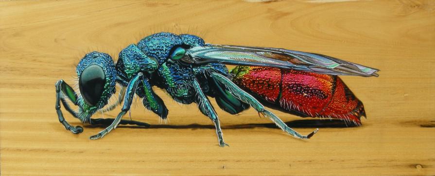 "RUBY TAILED WASP"