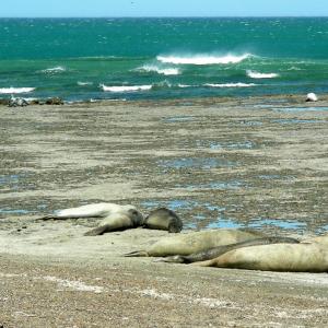 Argentina, Patagonia