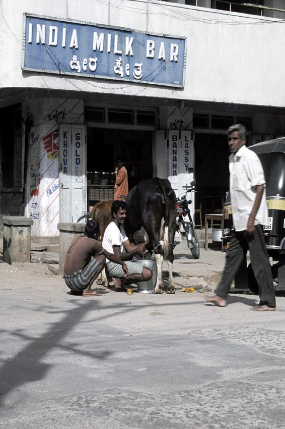 India milk bar