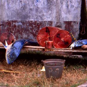 Mauritius 1989