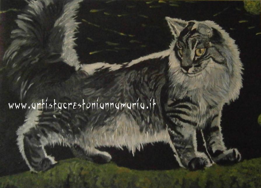 Gatto Norvegese delle Foreste - Olio su Tela 70 x 50 - Tecnica Pennello anno 2012