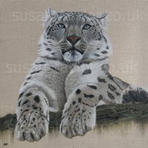 Snow Leopard 2