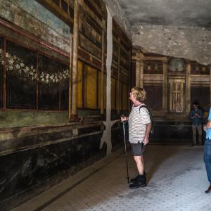 Muséographie - Pompei Villa dei Misteri