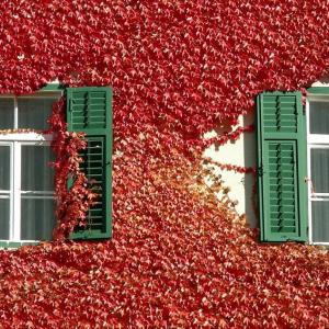 Italy. Trentino Alto Adige. Autumn colors