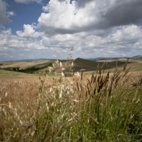 Paesaggio Toscano