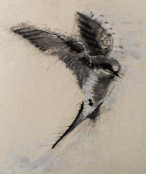 Small Bird in Flight.