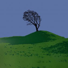 Tree on a Hill