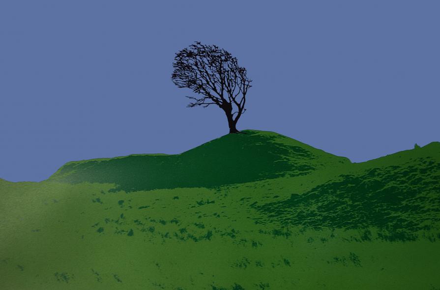 Tree on a Hill