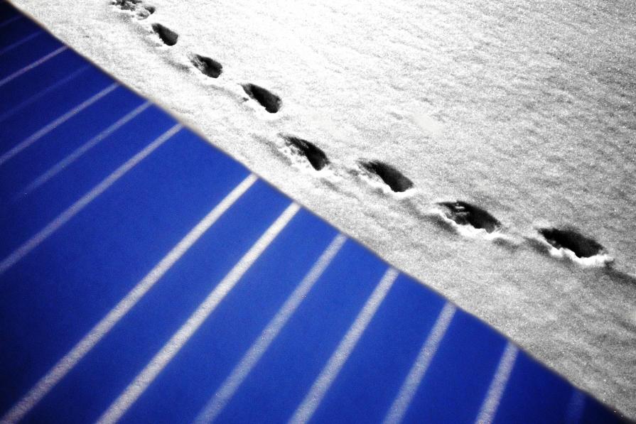 Snowtracks