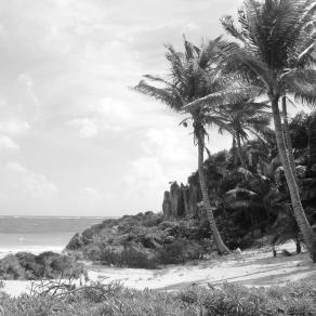 Tulum Ruins #10