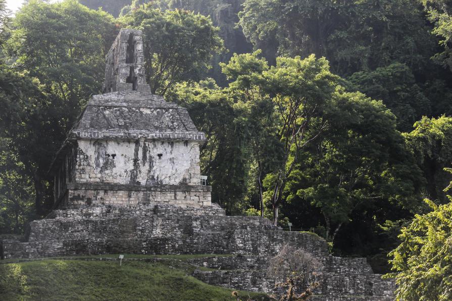 Palenque 45