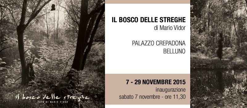 Il bosco delle streghe - Mario Vidor