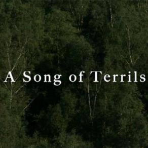 A Song of terrils