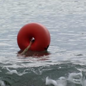 RED & WATER