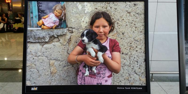  ANAFOD (Istanbul Anatolian Side Photographic Arts Society) -Sabiha Gokcen International Airport Photo Exhibition