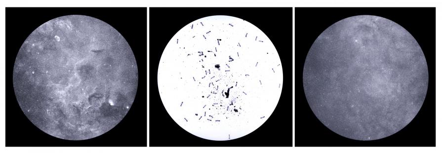 Syzygy 1/The Cygnus A Triptych