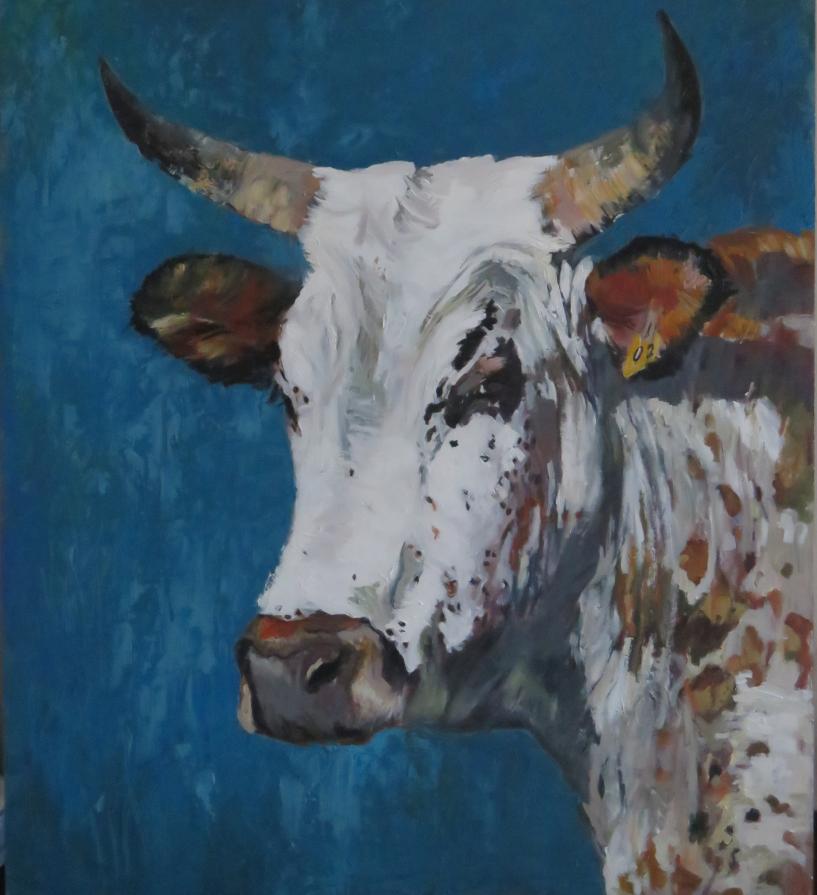 Nguni Bull