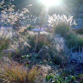 goldney's garden