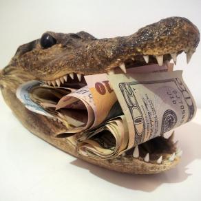 Financial Alligator