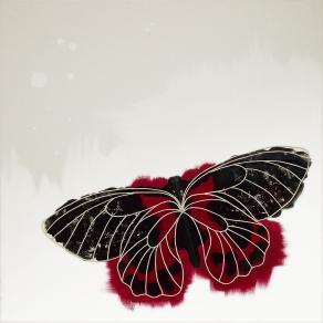 butterfly 1