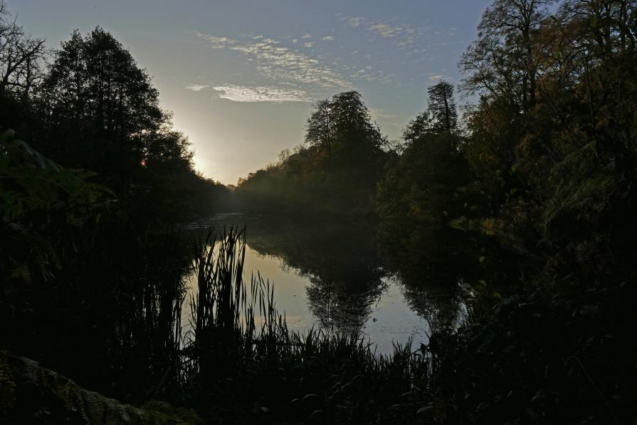 Evening Light