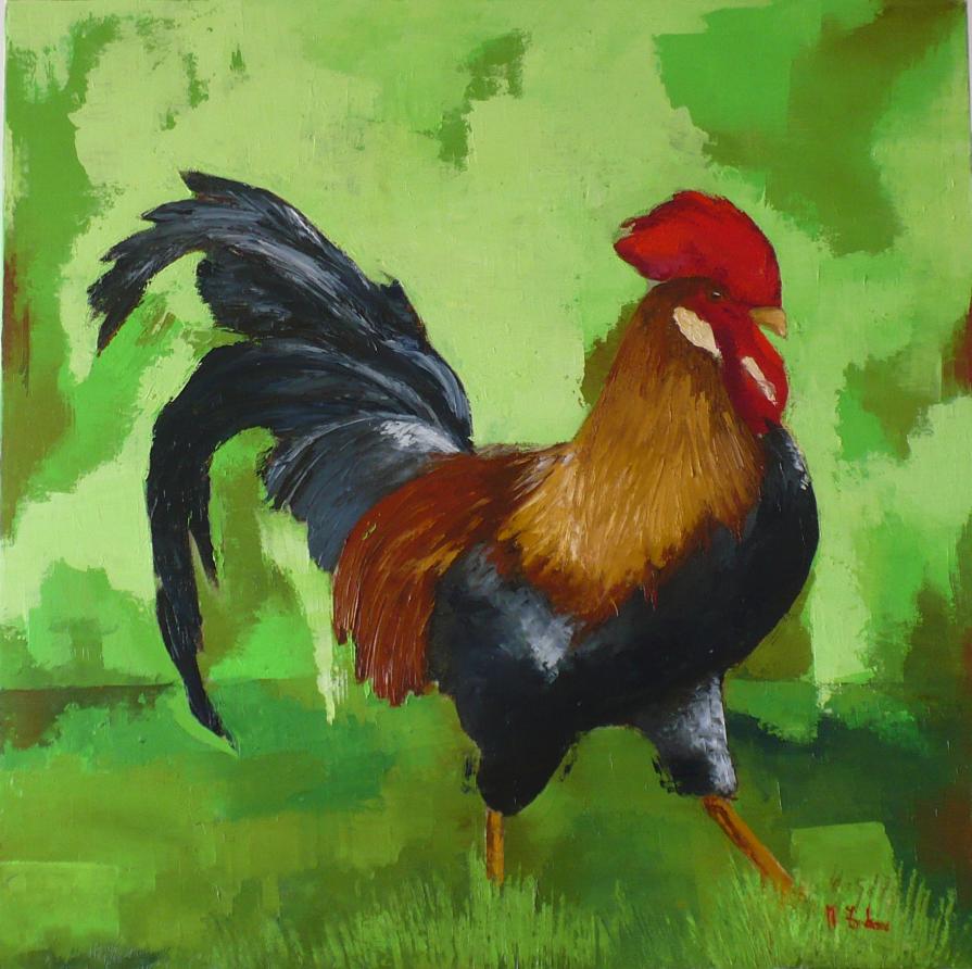 Il gallo